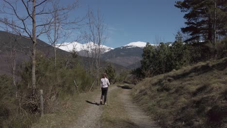 Young woman hiking mountain trail, walking gravel path with wooden stick, surrounded by trees and enjoying sunny landscape in serene natural environment