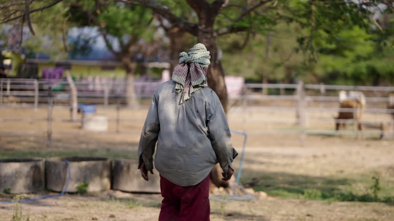 A person walking away in a rural farm setting