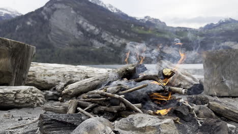 Close-up-of-fire,-smoke-and-ashes