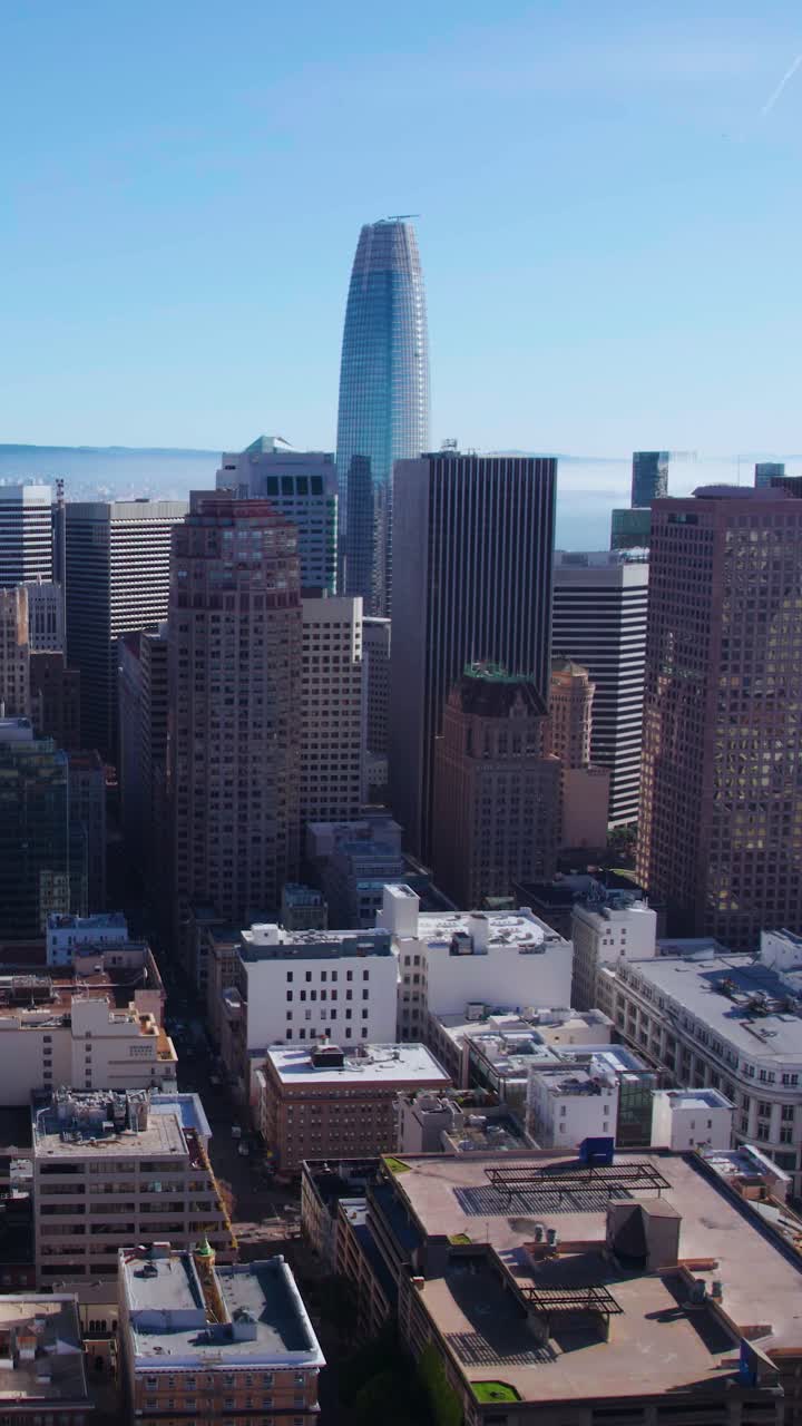 Vista aerea verticale, skyline del centro di San Francisco, torri ed edifici, California USA