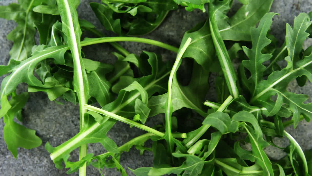 rúcula en el hormigón