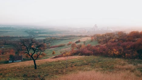 Blick-Von-Oben-Auf-Die-Stadt-Vac