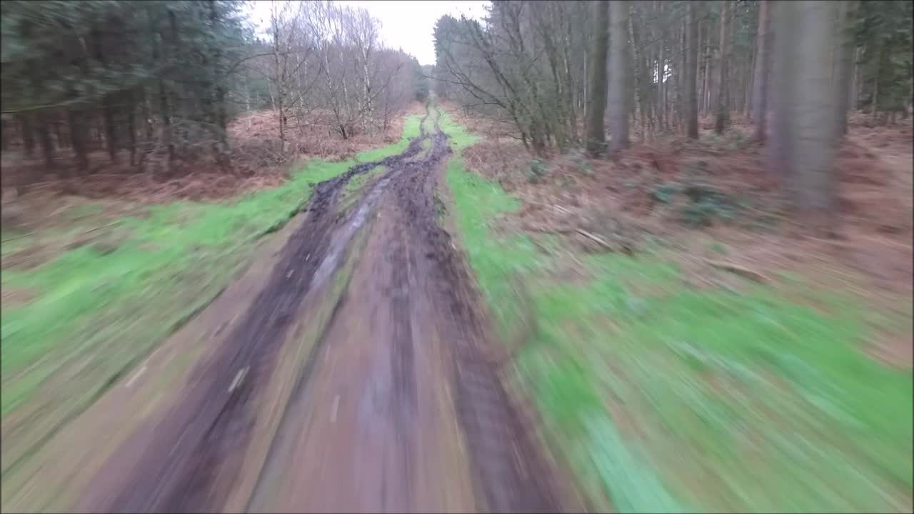 un dron volando alrededor de uno de los miles de bosques del reino unido