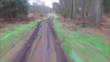 a drone flying around just one of the thousands of forests of the united kingdom