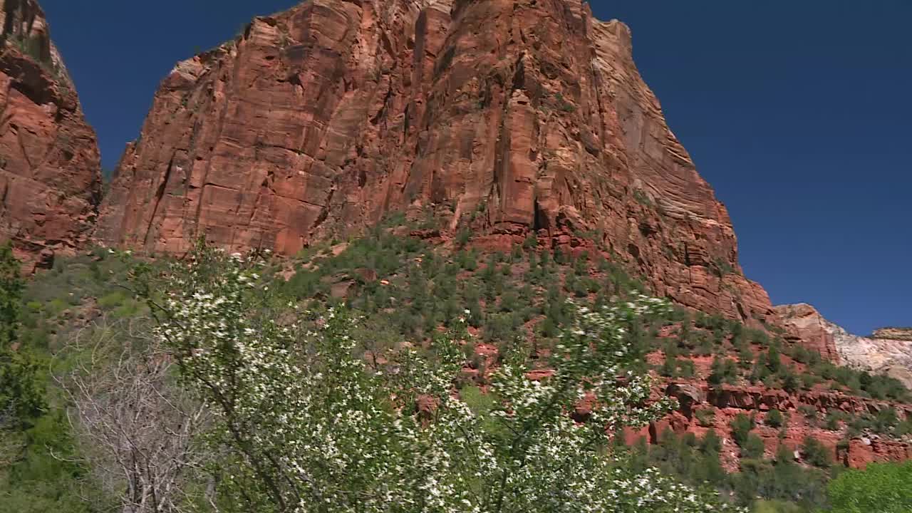 montaña rocosa árida empinada y escasa vegetación en el parque nacional zion