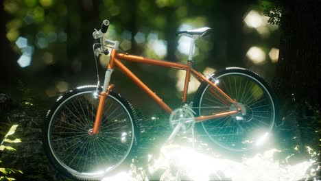 mountain bike on the forest path