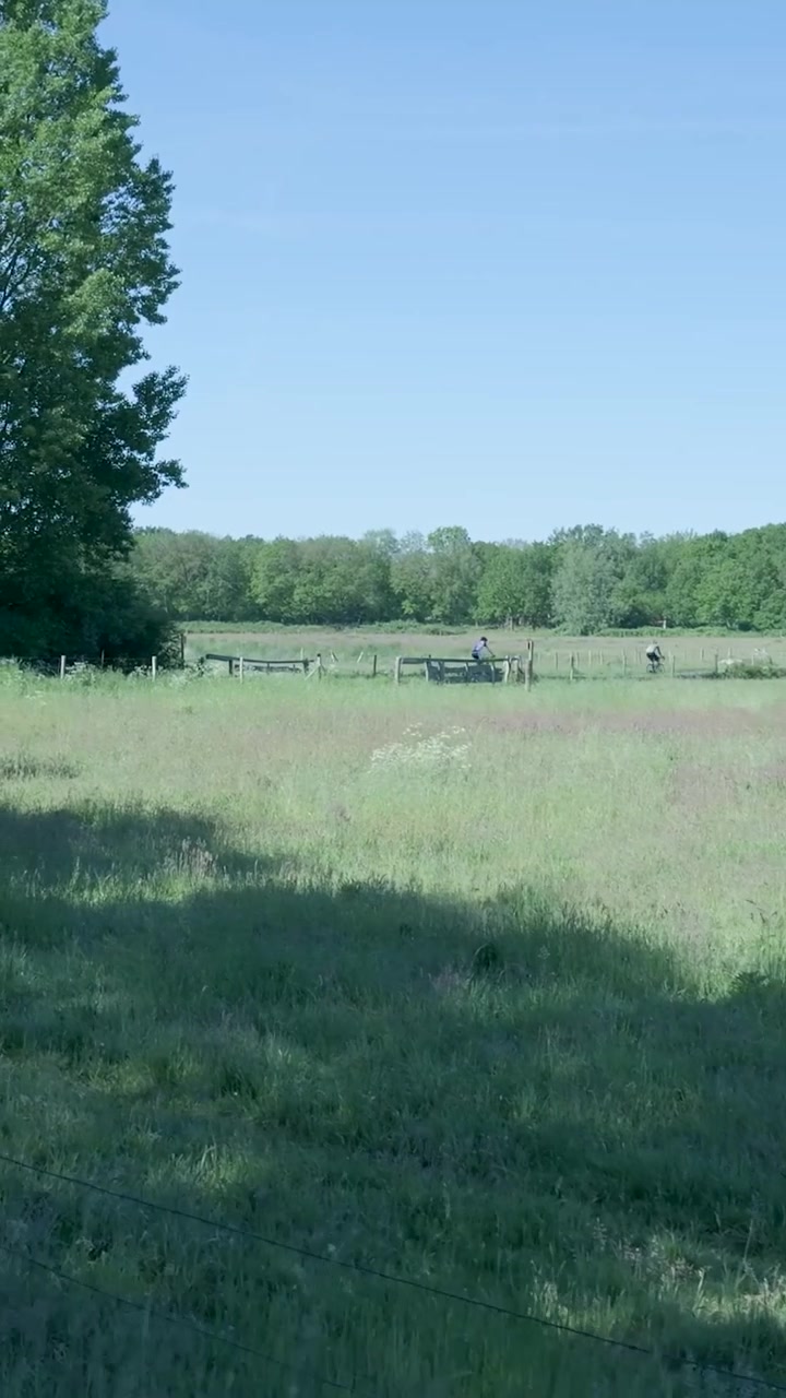 Cyclists and Car Passing by a Rural Meadow on a Sunny Day