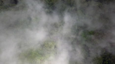 aerial slowly descends through cloud to lush green