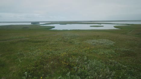 Grassy-meadow-and-the-Eastfjords-in-Iceland-on-a-stormy-day