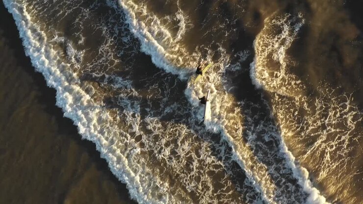 Surfers Walking in Surf Aerial