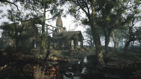 an abandoned church in a foggy forest