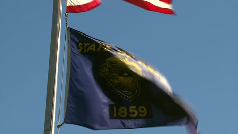 OREGON-STATE-FLAG-ON-A-WINDY-DAY