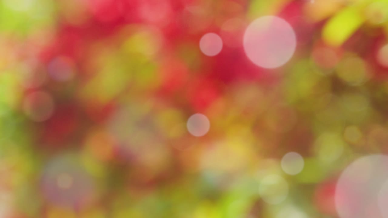 fondo de resorte abstracto con bokeh