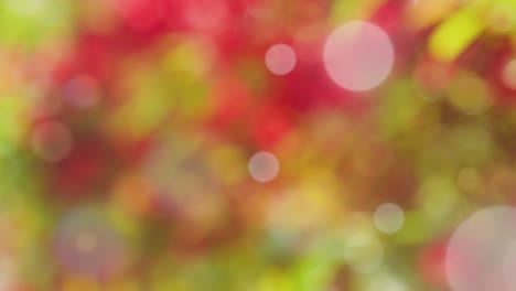 abstract spring background with bokeh
