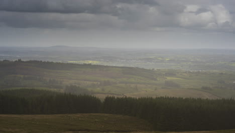 Zeitraffer-Einer-Ländlichen-Waldlandschaft-Während-Eines-Vorbeiziehenden-Regenschauers-Mit-Schafen-Auf-Dem-Feld-In-Irland