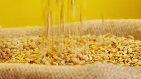pouring grain into a bag