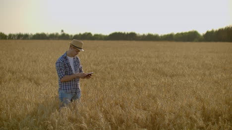 stylish old caucasian farmer walking in the golden wheat field on his farm during the morning sunrise