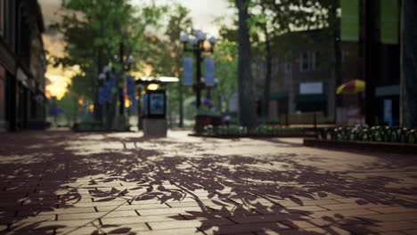 quiet city park with trees and benches