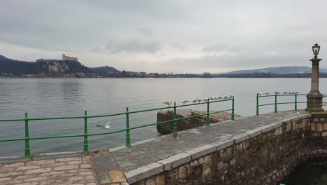 still seagulls on green jetty handrail on maggiore lake with angera fortress in background