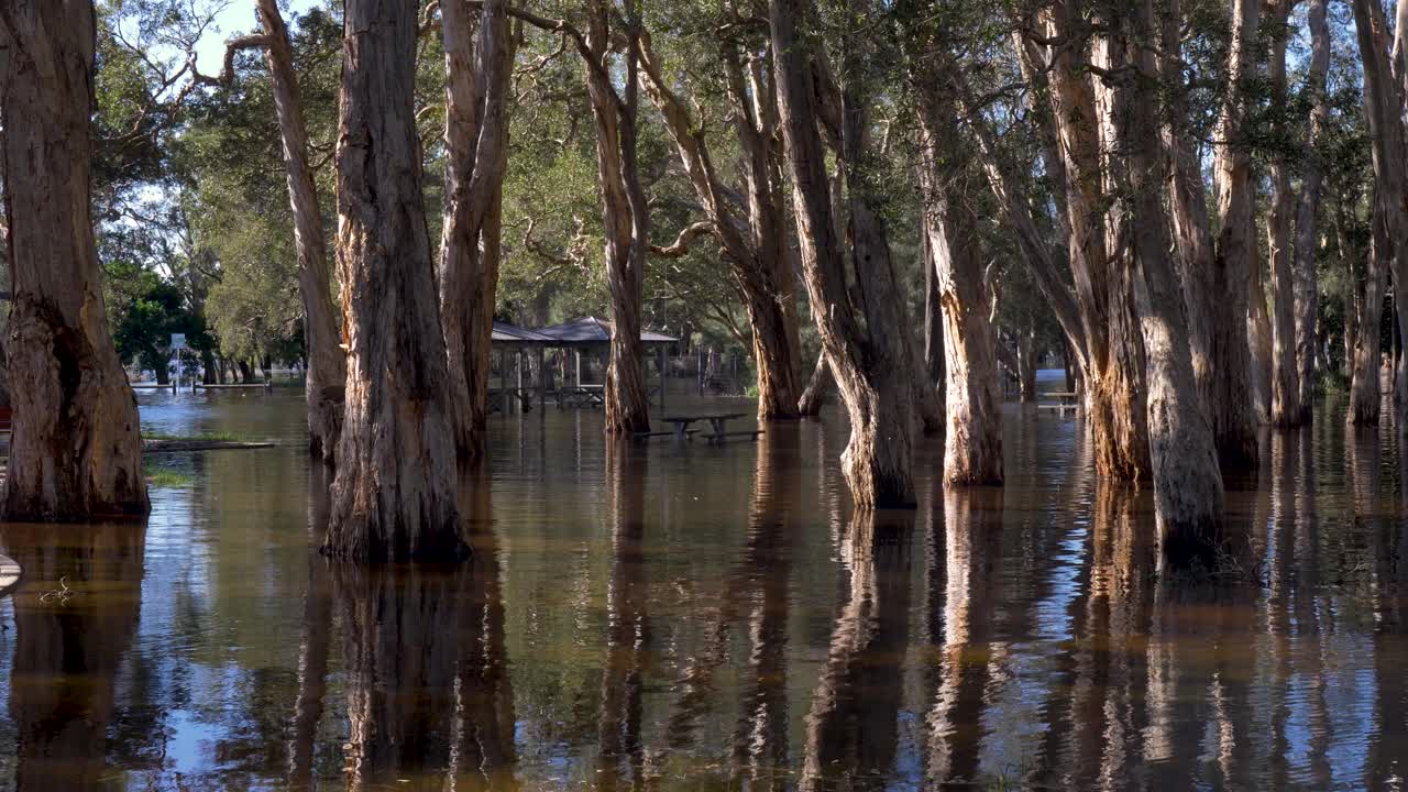 Slow motion landscape of flooding damage water from lake river system into local community park barbecue area with trees in Toukley Central Coast Australia environmental disaster hazard suburbs crisis