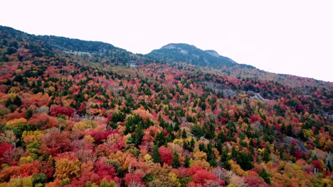 Abuelo-Montaña-Nc-Colores-De-Otoño,-Abuelo-Montaña-Carolina-Del-Norte-Aérea