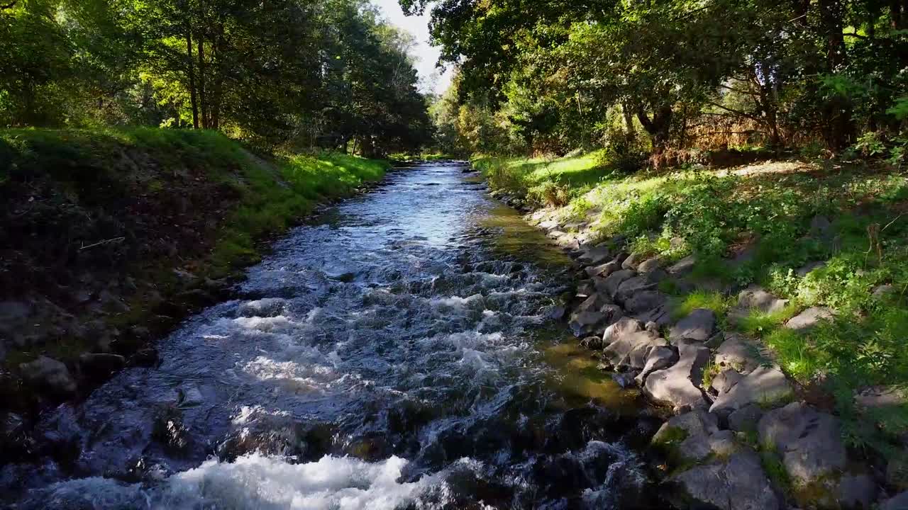Fiume con pietre e alberi accanto a cascate
