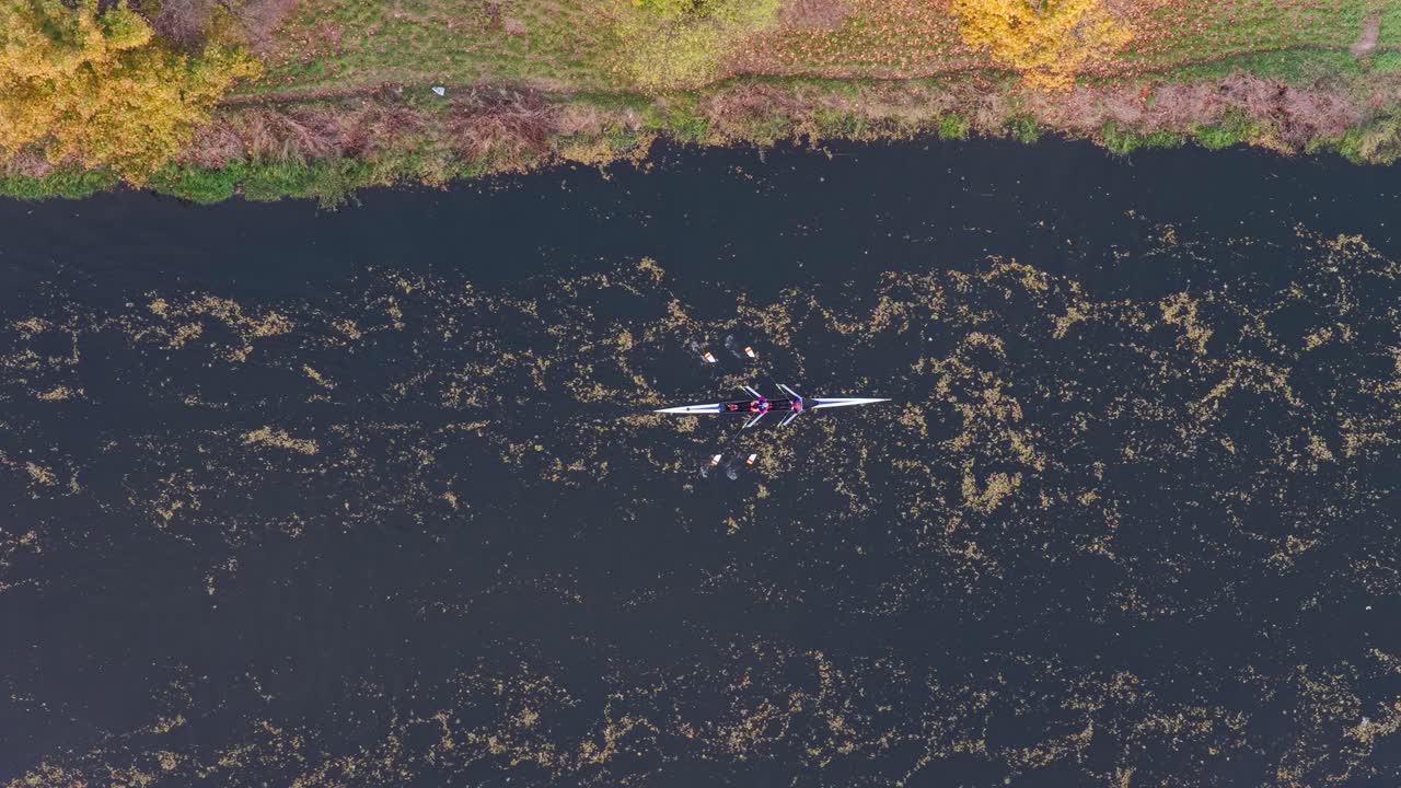 A couple of rowers in a boat are sailing down the river in Olomouc. A drone view of the pair's athletic coordination