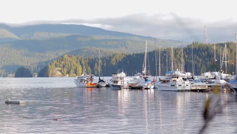 Various-drone-and-DSLR-shots-at-beautiful-Deep-Cove-in-Vancouver,-BC