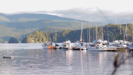various drone and dslr shots at beautiful deep cove in vancouver, bc