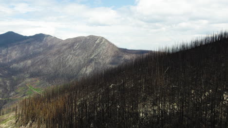 Habitat-loss-after-forest-burned-down-on-mountainside-after-wildfire,-drone-view