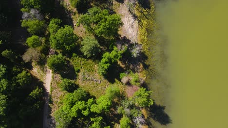 Tilting-from-a-Bird's-eye-view-to-a-trail-view