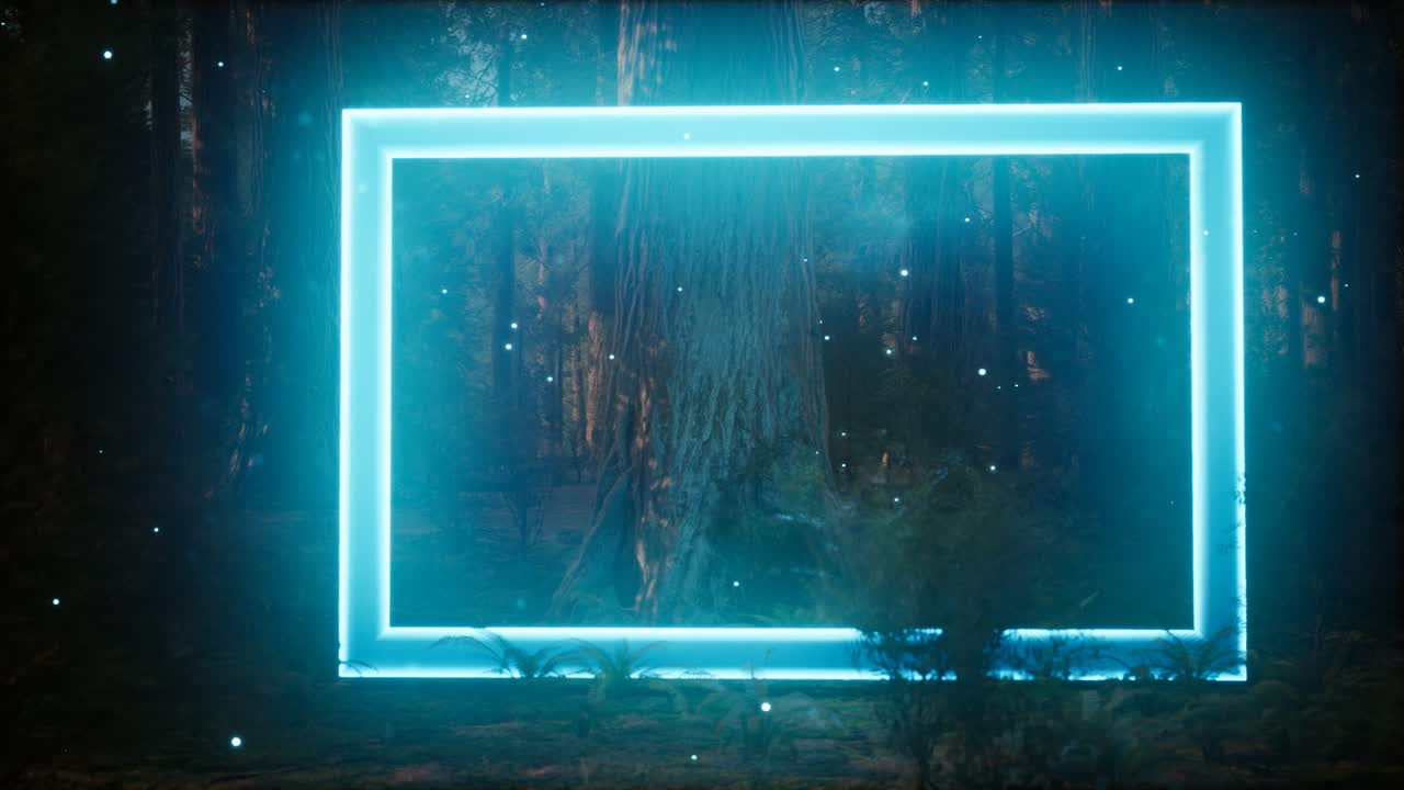 밤의 숲에서 네온 빛나는 직사각형 프레임