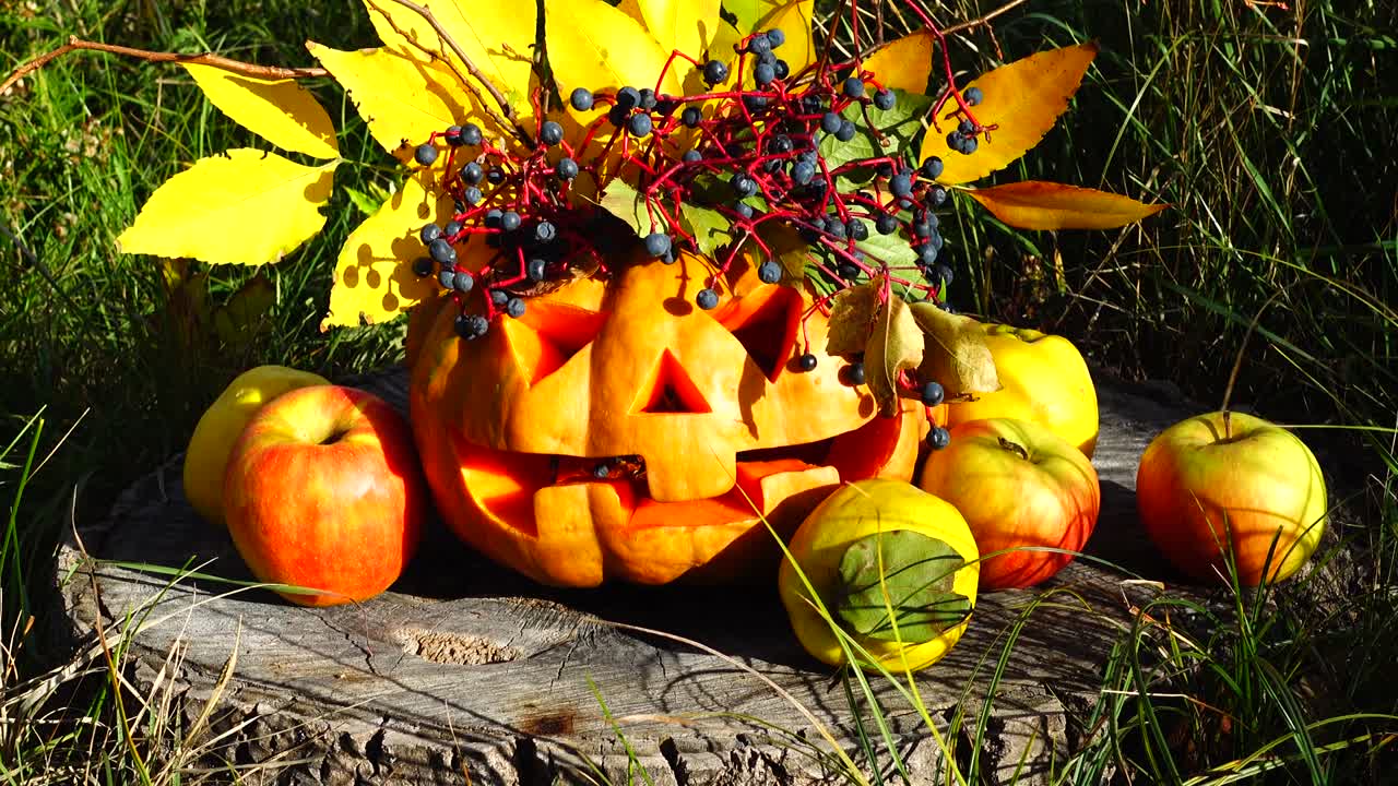 Zucca di Halloween spettrale. Il mostro è seduto su un ceppo d'albero.
