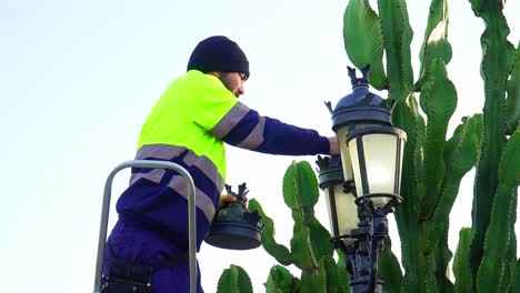 Handwerker-Repariert-Eine-Alte-Straßenlaterne-In-Der-Nähe-Eines-Kaktus