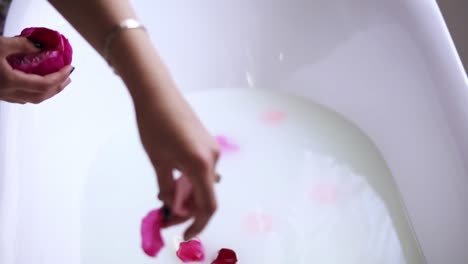 Unrecognizable-woman-in-black-bathrobe-throwing-flowers-to-the-bathtub-filled-with-milk,-getting-ready-to-take-a-warm-bath