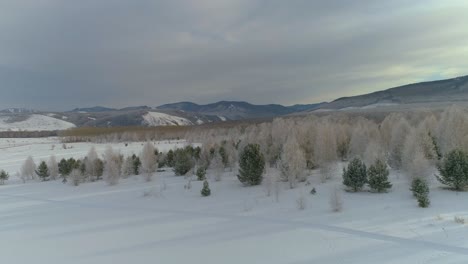 aerial view of a snow covered forest in winter