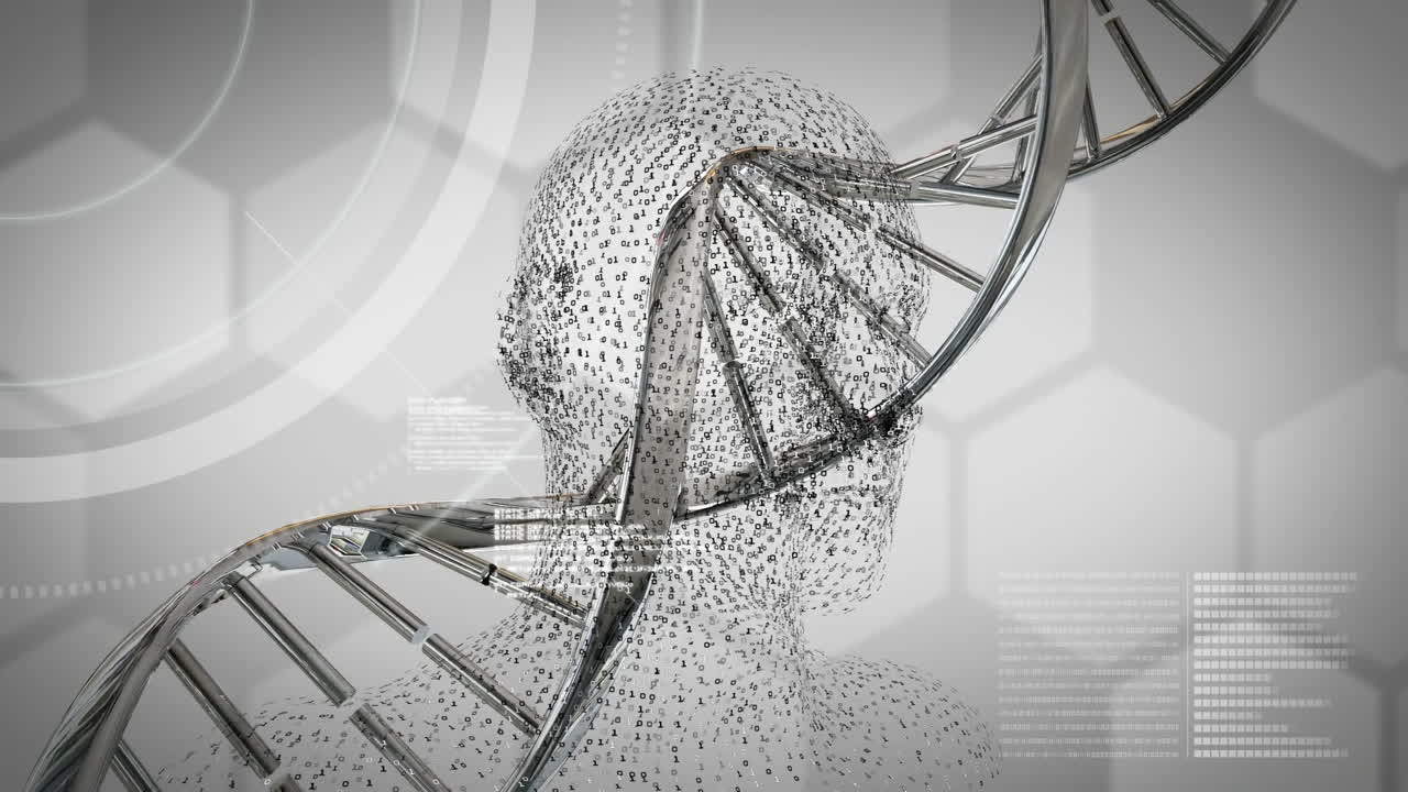 회색 배경에 회전하는 dna 가닥의 이중 나선 위에 디지털 인간 머리의 애니메이션