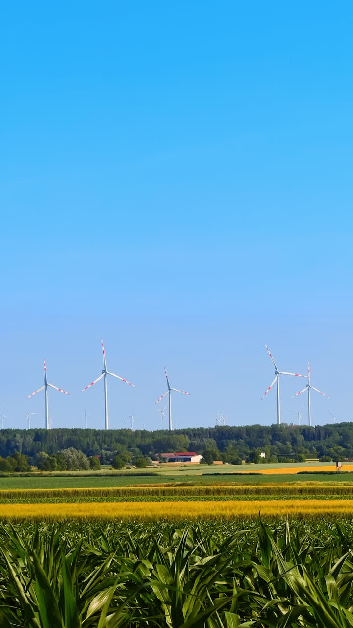 Wind turbines create clean energy. In a clear blue sky, wind turbines stand tall amidst fields, illustrating renewable energy in a peaceful rural setting