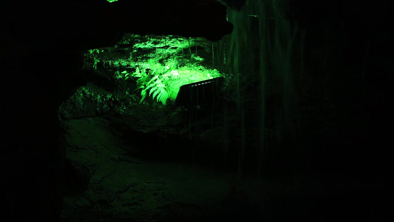 Green illuminated cave interior with ferns and a small waterfall, dark and moody