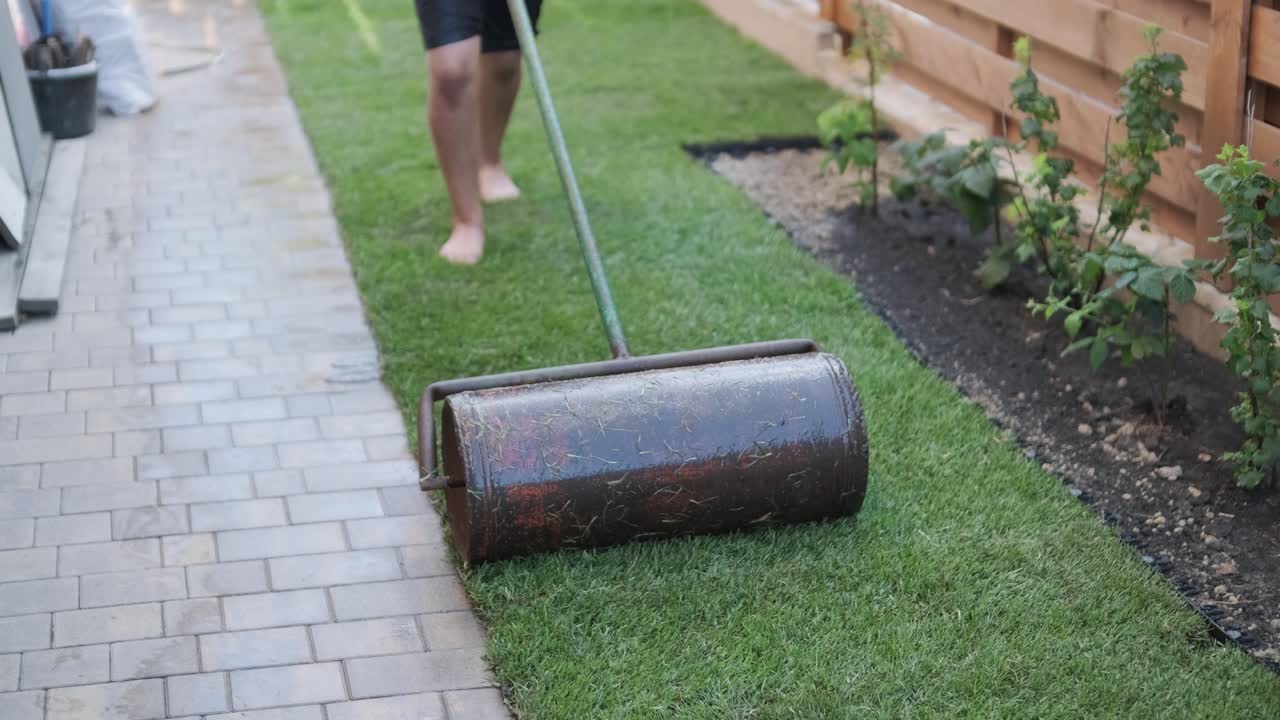 rollo de nuevo césped natural instalado por jardinero profesional. industria de jardinería.