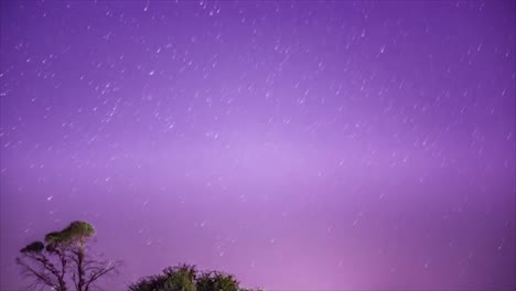 day to night sunset timelapse with star trails and comets featuring a lone tree in hunter valley, nsw, australia