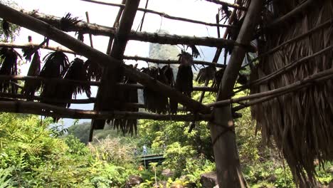 The-roof-of-a-wooden-hut,-Iao-Valley-State-Park,-Hawaii