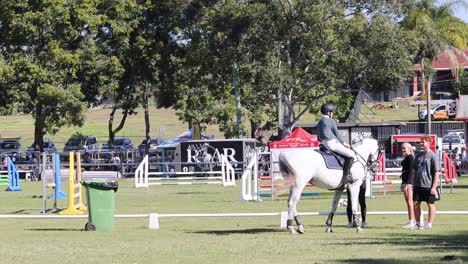 horse and rider preparing for a show jumping event