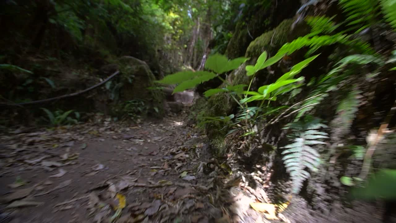 하이킹 코스를 따라 추적