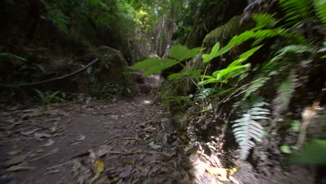 Tracking-Along-Hiking-Trail