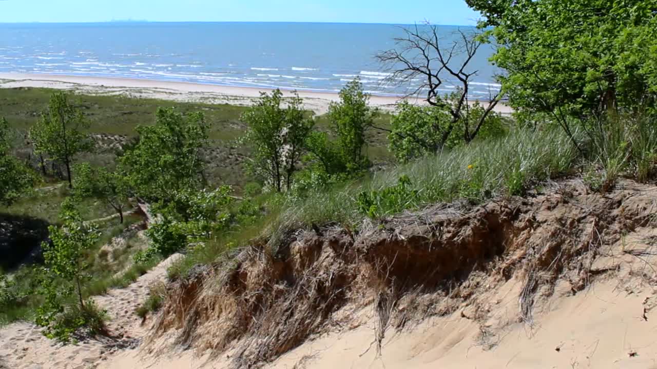 Vibrant sand dunes and lush greenery frame the serene coastline of Indiana Dunes National Park under a bright, clear sky. No people disrupt the natural tranquility
