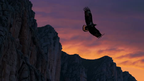 eagle soaring above mountains at sunset