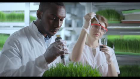 scientists experimenting with microgreens in a laboratory setting