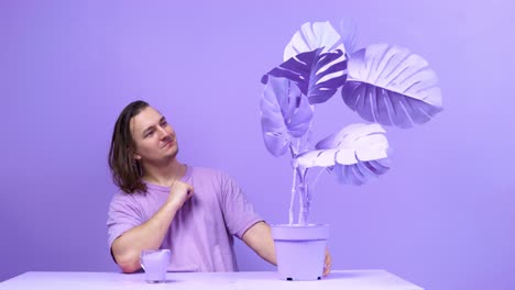 young man with long hair admires big painted pot-plant sitting at table. creative room design with interior painted in purple color