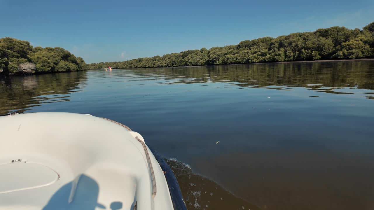Al Zorah Mangrove in Ajman, UAE, a thriving ecosystem teeming with birdlife and natural beauty